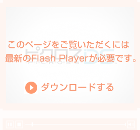 ̃y[Wɂ͍ŐVFlash PlayerKvłB