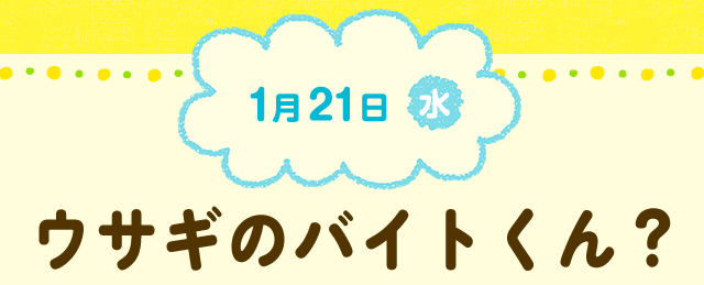 Nintendo News ニッキーのおしえて日記 バッジとれ るセンター って な に 任天堂