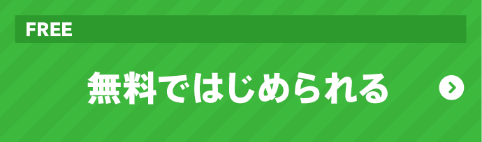 ニンテンドー3dsソフトウェア 任天堂