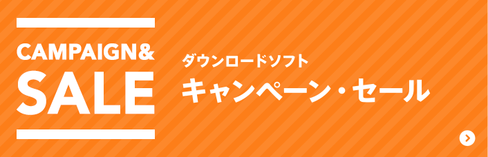 ニンテンドー3dsソフトウェア 任天堂