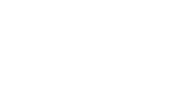 u_[N}[Wṽ~[WŖ̃p[gi[BNƓِE̗K҂ŋLĂBp𓾈ӂƂA퓬E킸AwォdT|[gB퓬̍ۂ͏ɎpςAɗ݂͂B